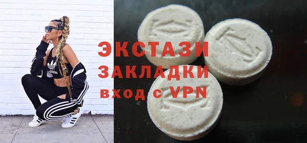 мдпв Бородино