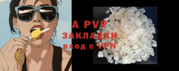 мдпв Бородино
