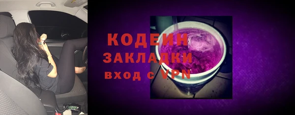 мдпв Бородино