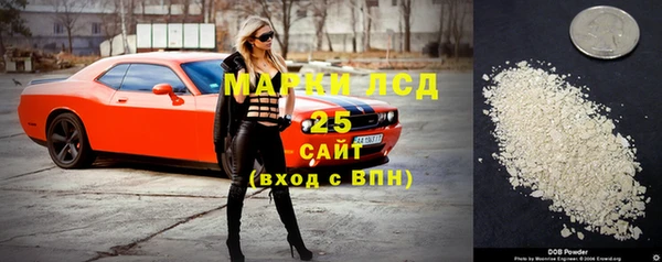 мдпв Бородино