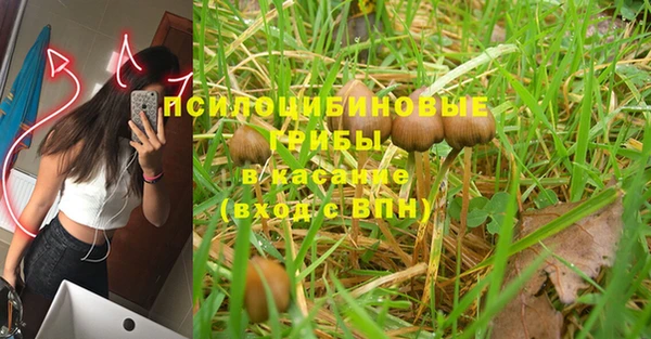мяу мяу мука Бугульма