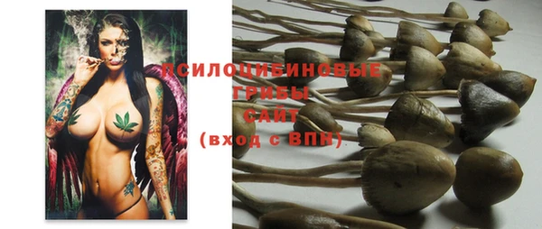 мяу мяу мука Бугульма