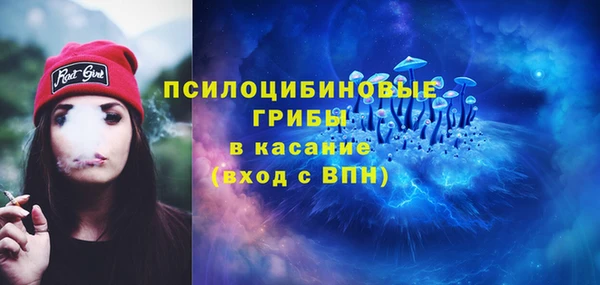мдпв Бородино